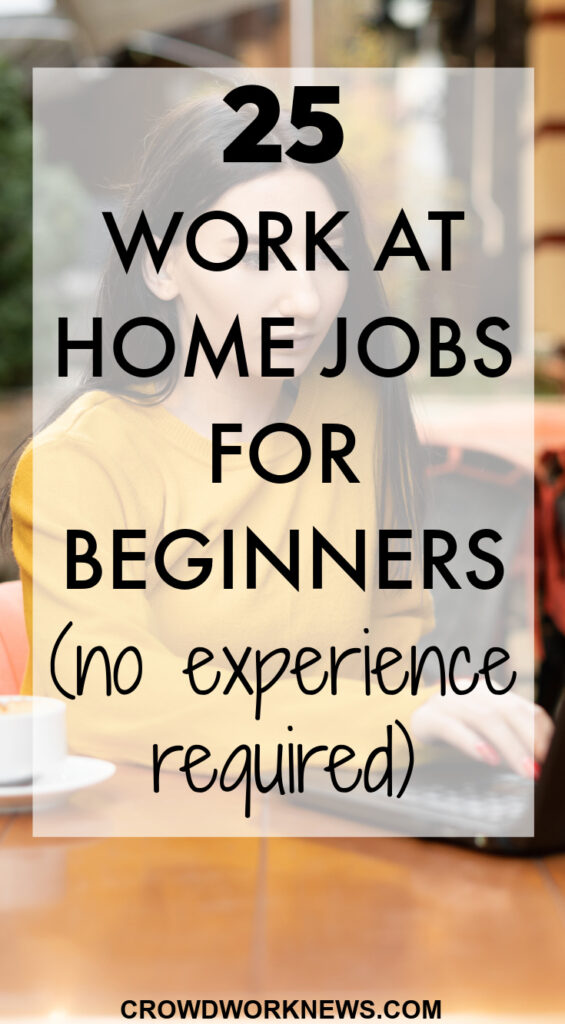 Work From Home Jobs No Experience 2024 Enrika Karilynn